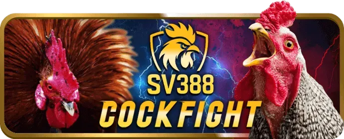 Cấp bậc VIP Kim Cương dbet12 đăng nhập