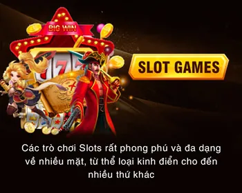 Biểu tượng đa dạng trò chơi Dbet12
